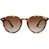 Retro Round Polarized Sunglasses for Women Men Classic Vintage Sunnies SJ2069