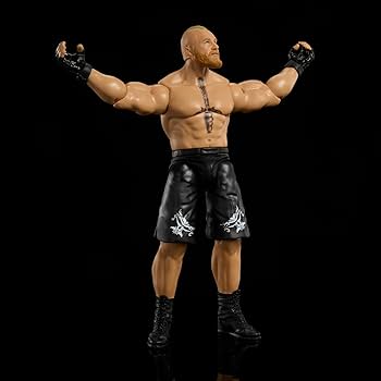 フィギュア プロレスラー 10体 Amazon | プロ格ヒーローズF(Figure) 新