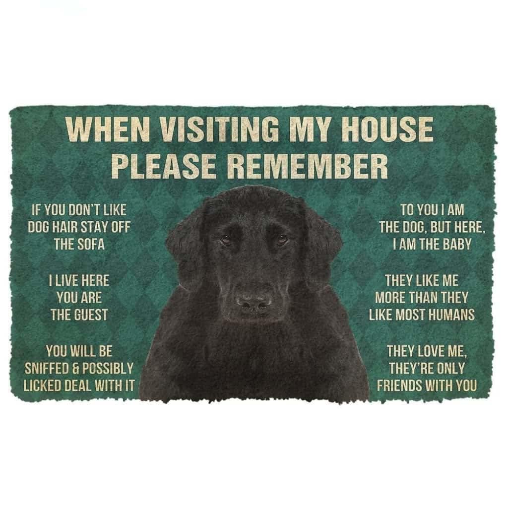 Paillasson extérieur entrée Flat-Coated Retriever tapis de maison
