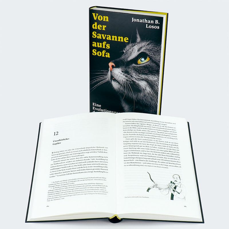 Von der Savanne aufs Sofa: Eine Evolutionsgeschichte der Katze