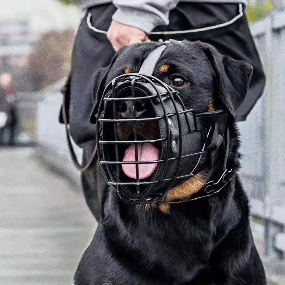 Bozal para perro, diseño de cesta transpirable con acolchado para perros medianos y grandes, bozal de entrenamiento ajustable para prevenir la masticación