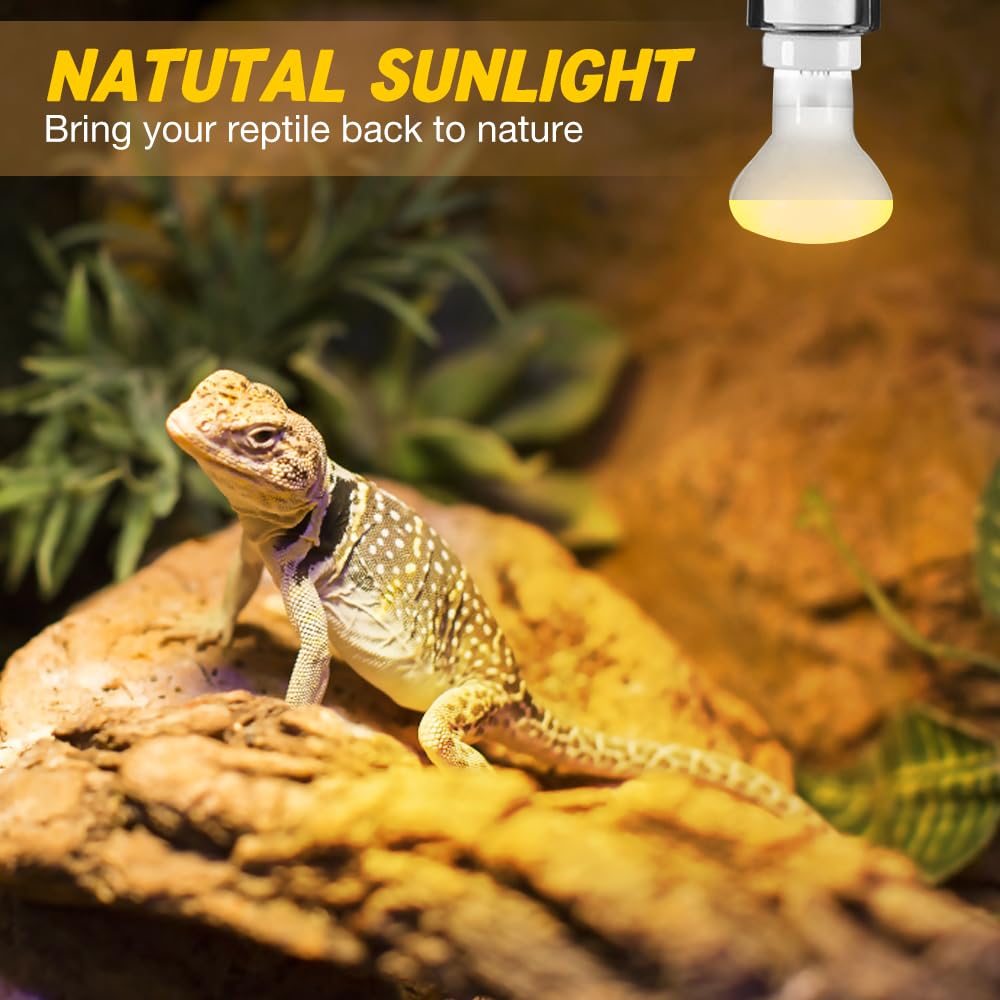WDKXCN Heat Bulb for Reptiles 2 Pack 100W Heat Lamp Bulb, E27 Tortoise Heat Lamp Bulb, Reptile Heat Bulb - Image 3
