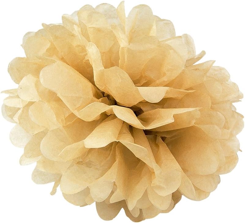 WYZworks Set of 10 - Purple 14" - (10 Pack) Tissue Pom Poms Flower Party Decorations for Weddings, Birthday, Bridal, Baby Showers, Nursery, Décor : Home & Kitchen