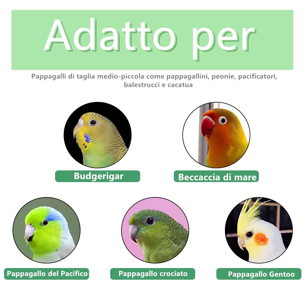 5 Pezzi 20cm Posatoi Pappagalli Giochi Trespoli Naturale Paw Grinding Giocattolo per Pappagalli Uccello Masticare Giocattoli della Viene fornito con un collare per pappagalli, Colore casuale