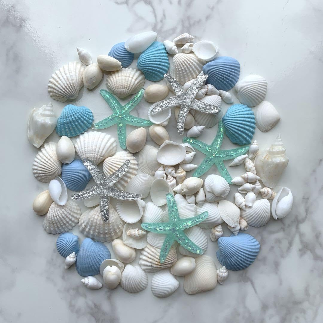 Amazon.co.jp: 貝殻 貝殻セット インテリア ウェルカムスペース