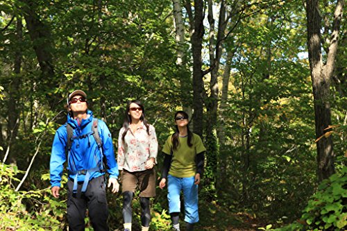 Suncloud Carousel Polarized Sunglass (Black Backpaint Laser Frame/Gray Polar Lens)4