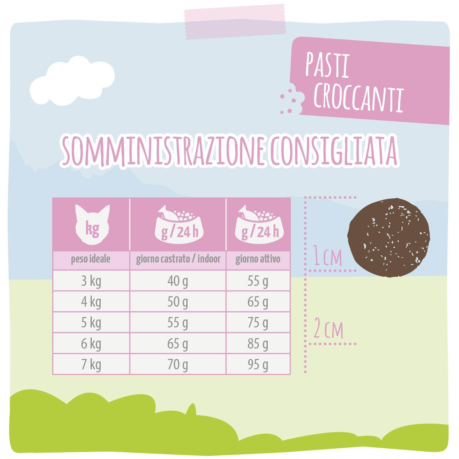 MjAMjAM - Crocchette premium per gatti - Pasti croccanti - Filetto di salmone fresco e pollame, confezione singola (1 x 1,5 kg), senza cereali