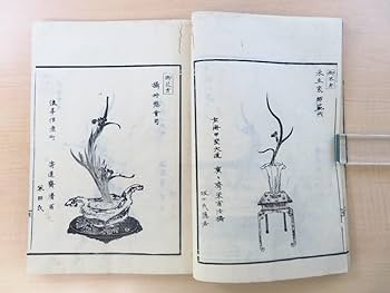 Amazon | 未生斎広甫編『花道家元未生御流挿花明の色 全』嘉永元