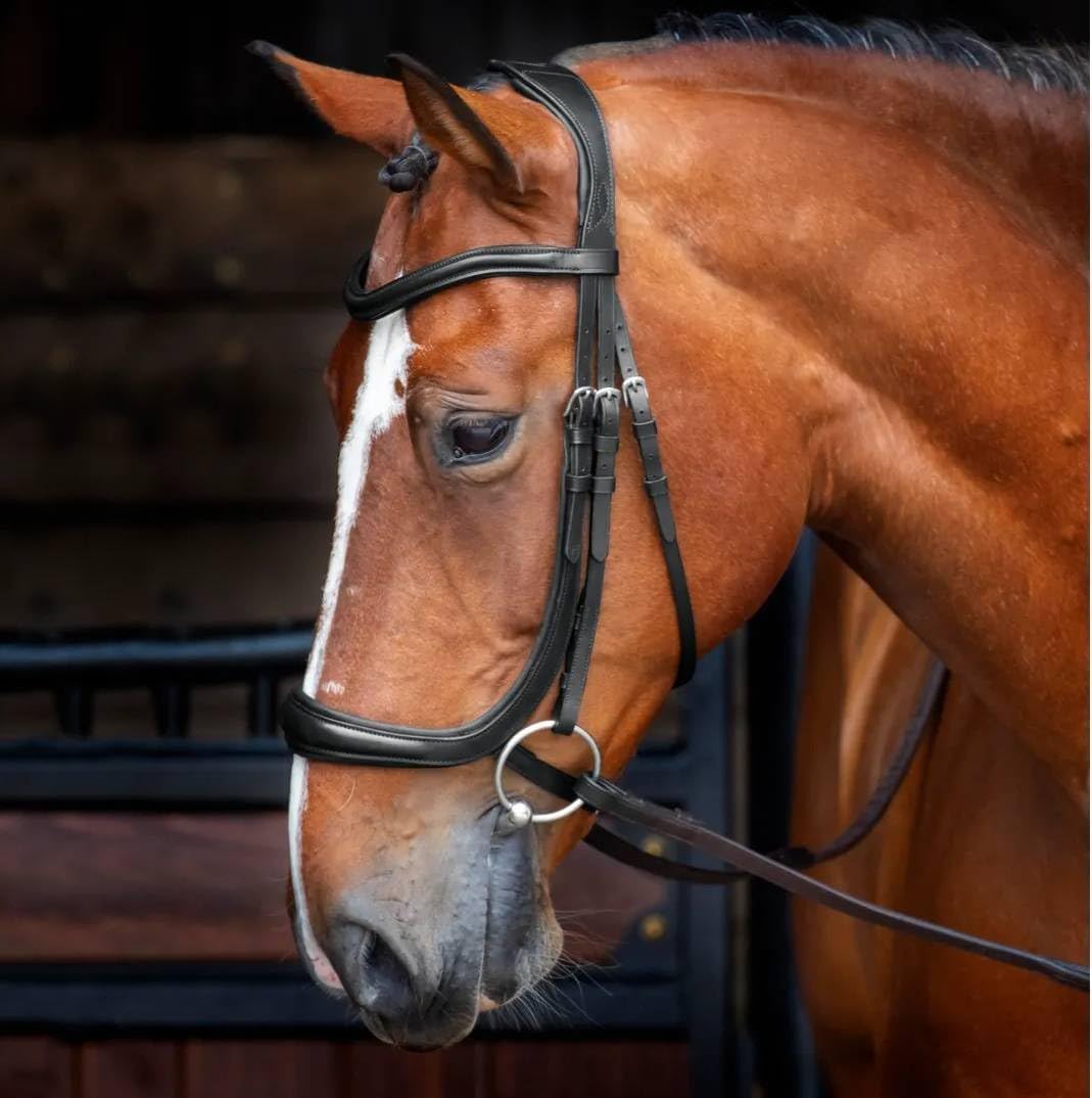 Shires Velociti Ergonomic Cavesson