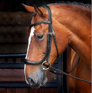 Shires Velociti Ergonomic Cavesson
