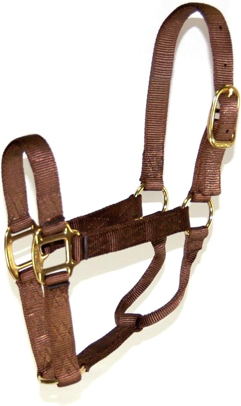 Hamilton Quality Horse Halter, 1" Triple Ply Nylon, Average Horse, Arabian, or Yearling Draft, 800-1100 lbs, Brown