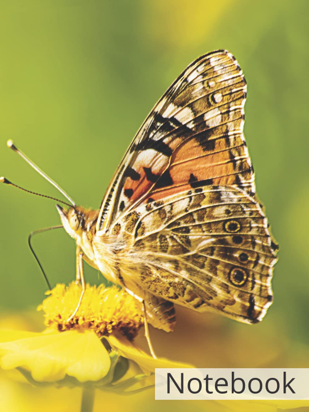 butterfly yellow flower Composition Notebook " Hardcover " / By : Limam School: ( butterfly, yellow flower, flower, wings, butterfly wings, winged insect, lepidoptera, insect, flora, fauna, nature )