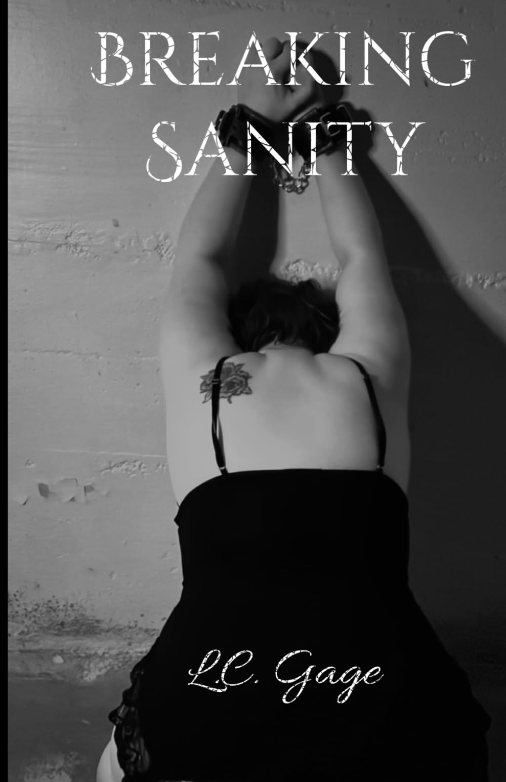 Breaking Sanity: Hell's Asylum Book 1 (Hell's Asylum Series)