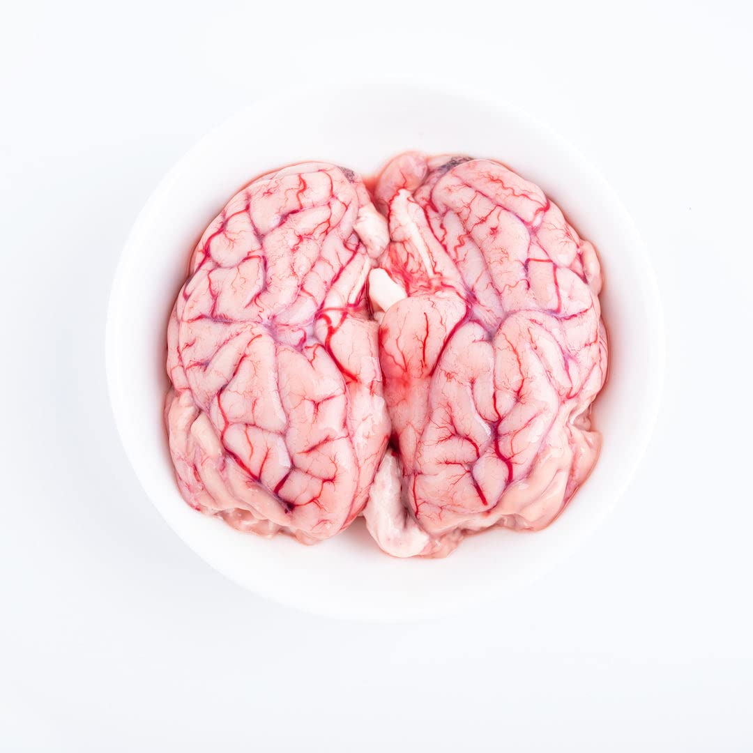 Halal Lamb Brain 300g x 2 Packs | Premium Halal Offal | Fresh & Tender | Rich in Nutrients | Ideal for Frying, Scrambled Recipes & Traditional Dishes