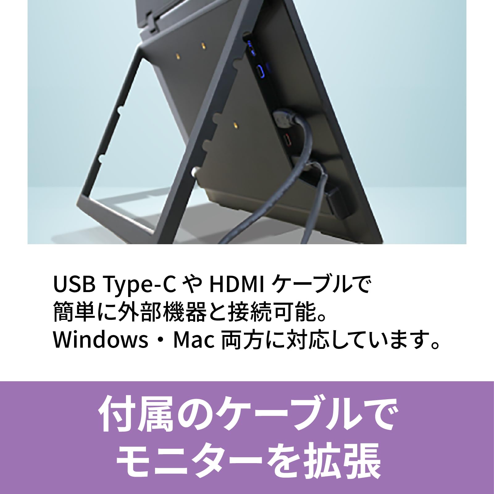 Amazon.co.jp: DGP-DMD1501/デュアルモバイルディスプレイ 15.6インチ