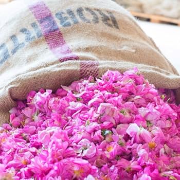 ★新品★かの子のハーバル ヘナ　シャンプー&コンディショナー　セット かの子のハーバルヘナ / かの子のハｰバルヘナシャンプｰ