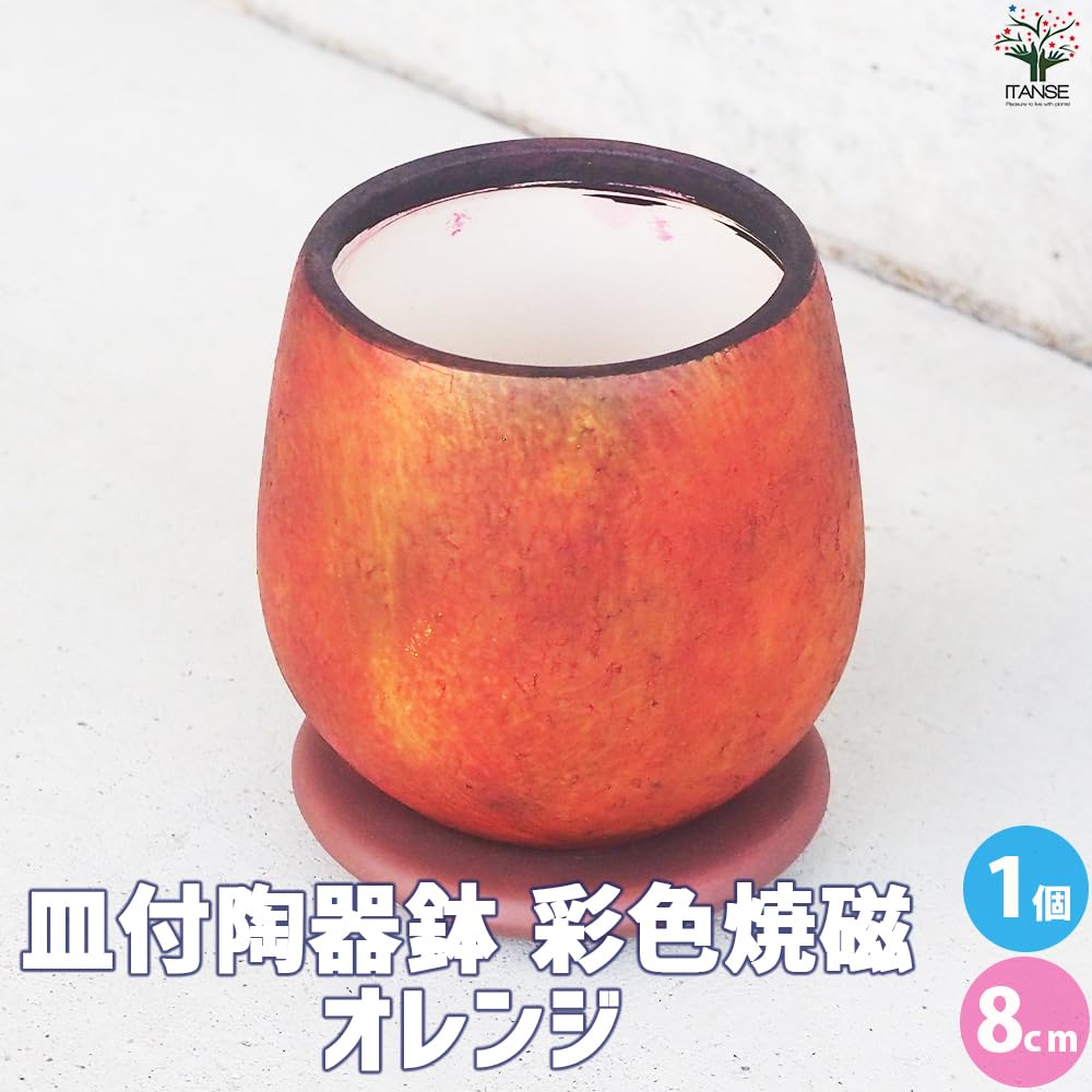 Amazon.co.jp: ITANSE 皿付陶器鉢 彩色焼磁 オレンジ 8cm 1個
