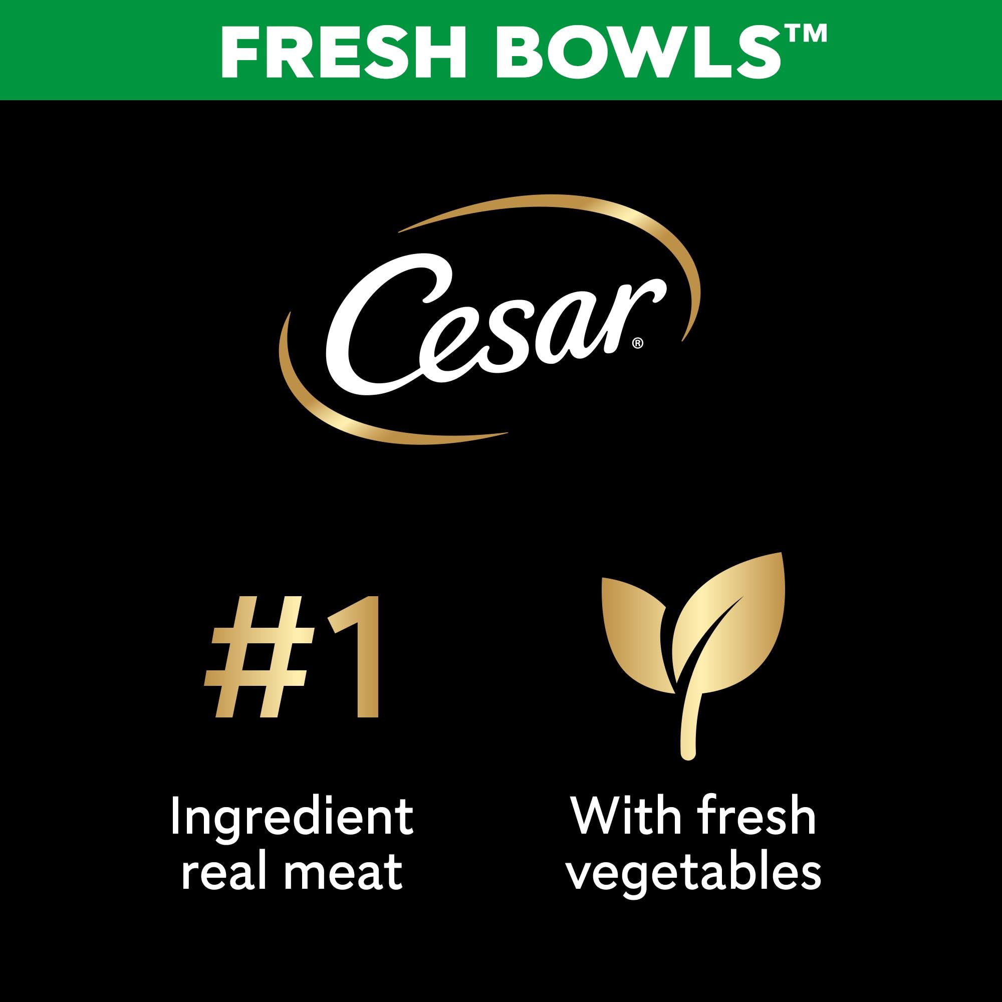 CESAR Fresh Bowl Adult Dog with Chicken,Carrots,Beans,Pumpkin in Gravy 85g (Pack of 10), 85 g (Pack of 10) - Image 2