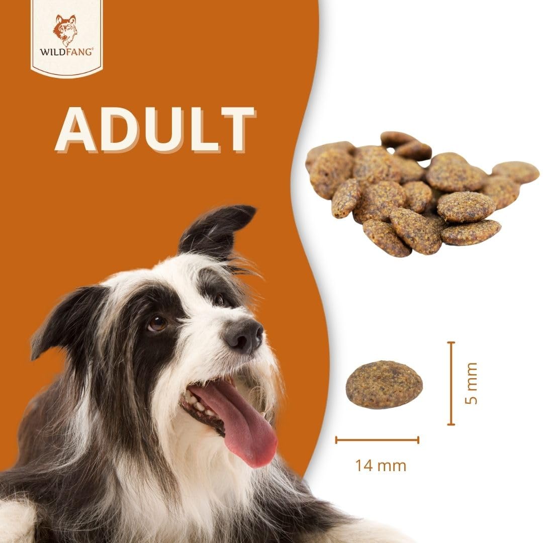 Wildfang® Karma Sucha dla Psa Dorosłego 6 kg – Premium karma dla psa z królikiem, bez zbóż i glutenu, naturalne składniki, bez dodatku cukru, dla psów dorosłych i seniorów – Opakowanie 2 szt.