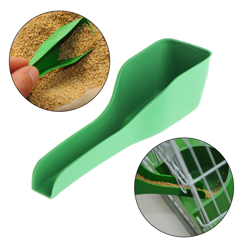 Cuillère d'alimentation manuelle pour oiseaux - En plastique - Pour nourriture et eau - Pour canard, caille