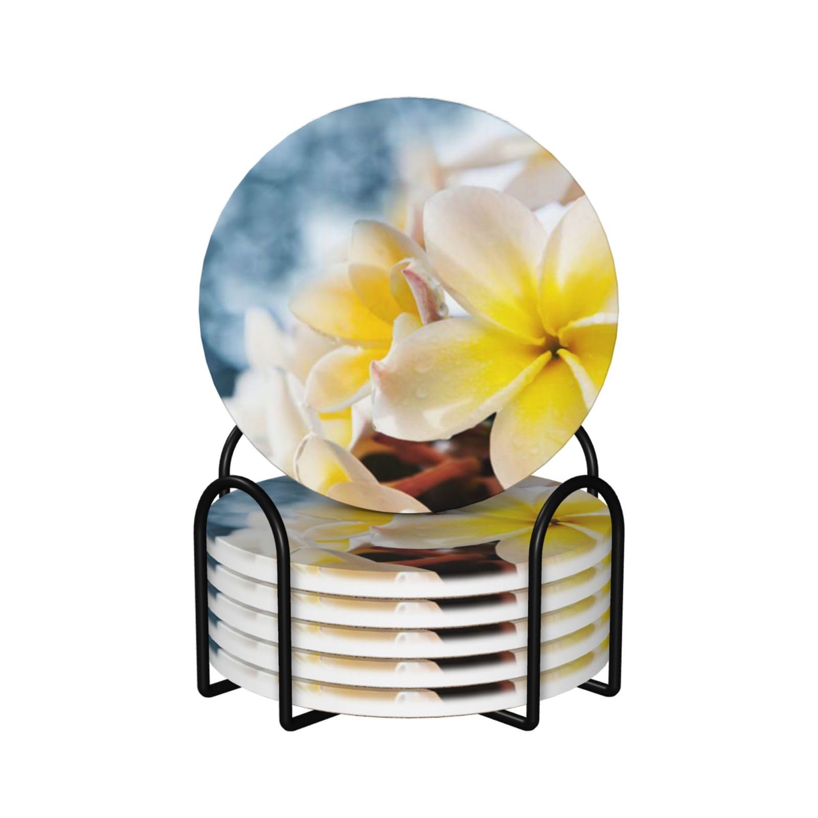 Dessous de verre en céramique lot de 6 avec support métal fleurs