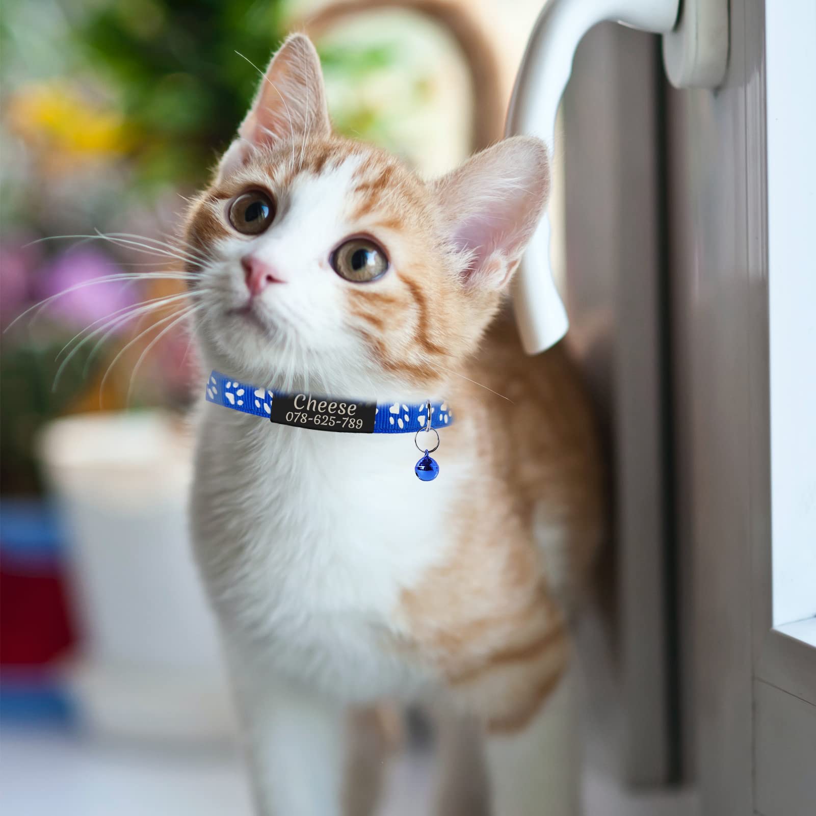 10 Migliori Collare Personalizzato Gatto In Italia - Foto 7