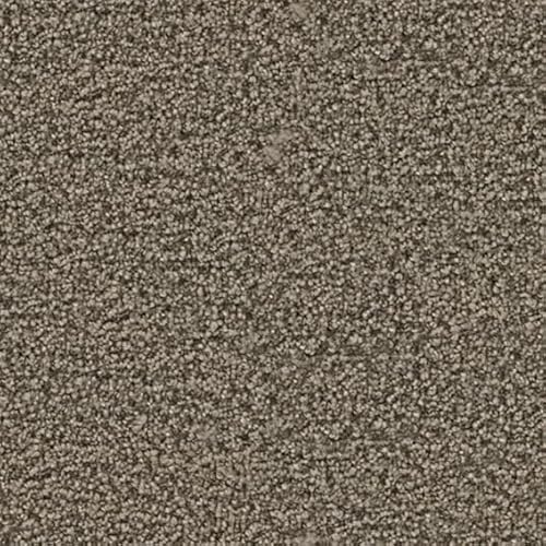 y[J[ybgV[Y V[UI ԃTCYzhEdEh(SH)Eh_jRہEVітłɂEJ[ybgEO~(イ)EOEJbg (CZ-6061 OXJ[L, 8(364×364cm))