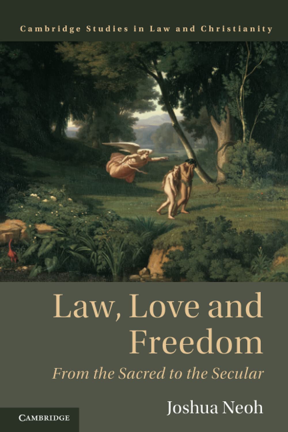 Law, Love and Freedom: From the Sacred to the Secular (Law and Christianity)