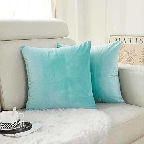 Juego de 2 fundas de almohada de terciopelo suave y grande de 24 x 24 pulgadas, fundas de cojín cuadradas decorativas de Navidad para sofá, cama,