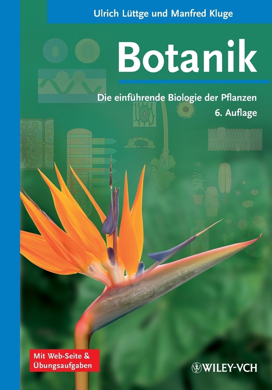Botanik: Die einführende Biologie der Pflanzen