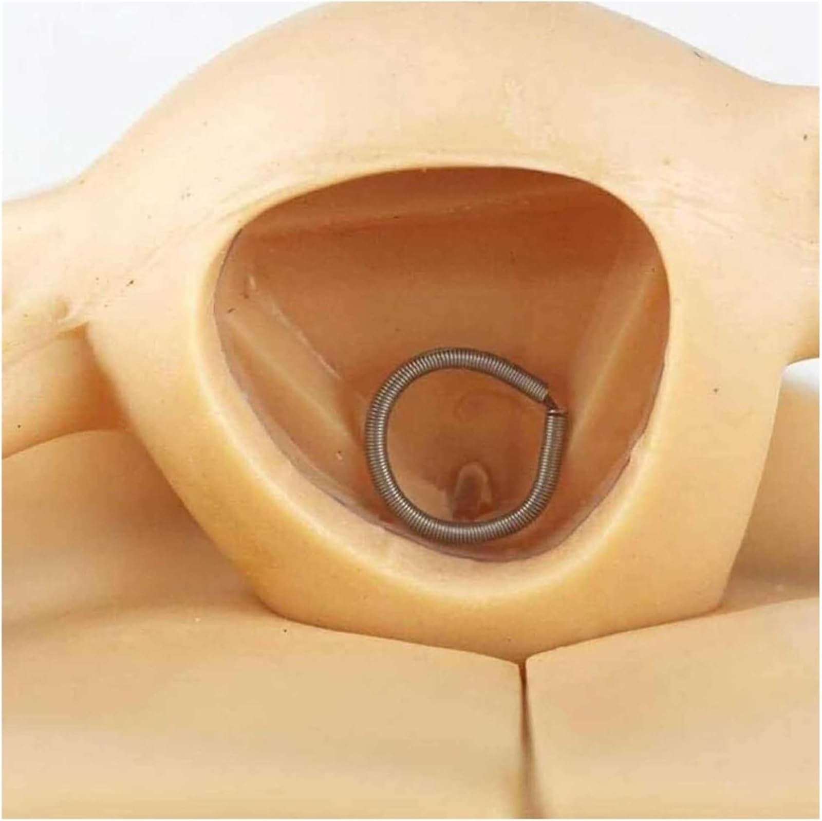 Maniquí Ginecológico Femenino, Modelo De Anatomía Genital Femenina, Modelo De Guía De Anticoncepción Femenina De Tamaño Natural Y Maniquí Con Anatomía Precisa, Adecuado for Enseñanza Y Operación Práct