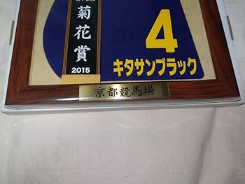 レア　JRA★新潟競馬場限定　菊花賞　キタサンブラック　馬番ゼッケン　レプリカ Fichier:第76回菊花賞の優勝レイを着装した勝利馬キタサン