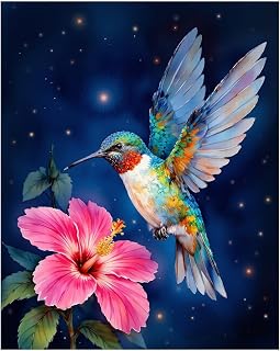 EnLvYY Paint by Numbers for Adults, DIY Acrylic Canvas Painting Kit, Hummingbird with Hibiscus Flower and Night Sky, Gift for Beginners and Art Lovers,8X12IN Framed