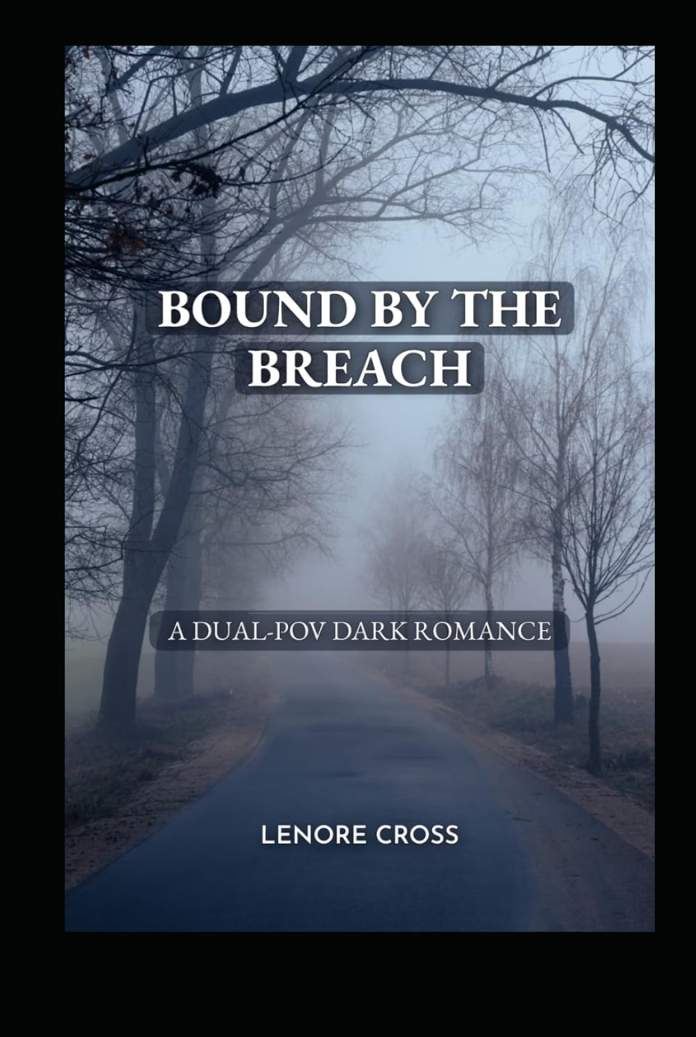BOUND BY THE BREACH: A DUAL-POV DARK ROMANCE