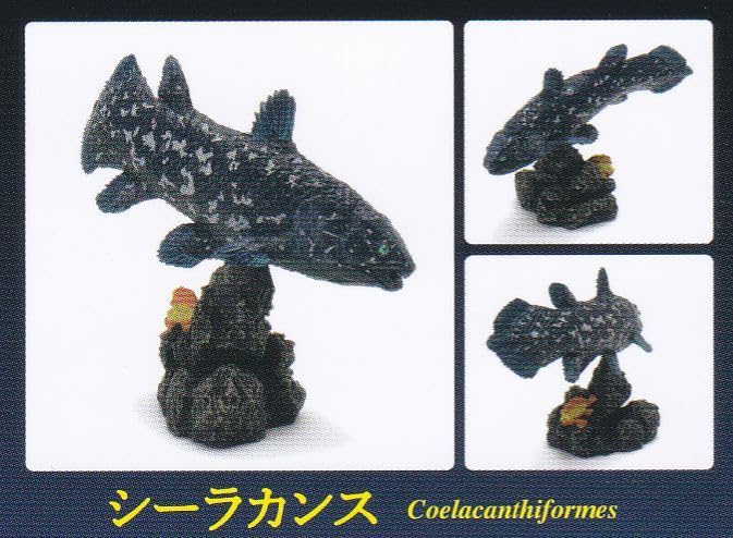 シーラカンス フィギュア 完成品 　古代魚　魚　いきもの大図鑑　動物の惑星 Amazon.co.jp: シーラカンス 古代魚 いきもの大図鑑 ガチャ : おもちゃ