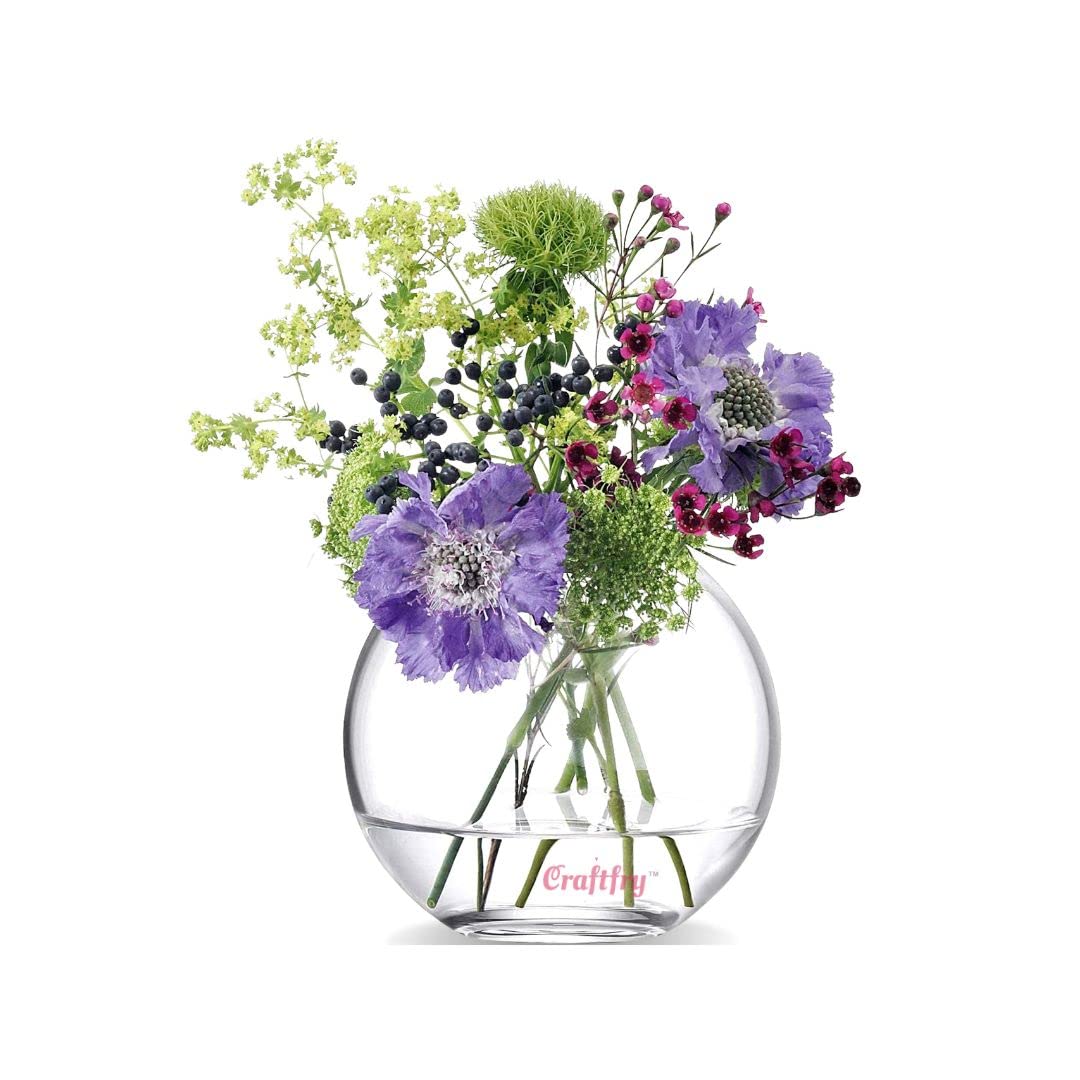 Terrarium Glass Bubble Decorative Bowl, Fish Bowl, Rose Bowl - Glass Round Vase, Events, Decorating, Decorative Bowls for Home Decor, or Office (6 inch)