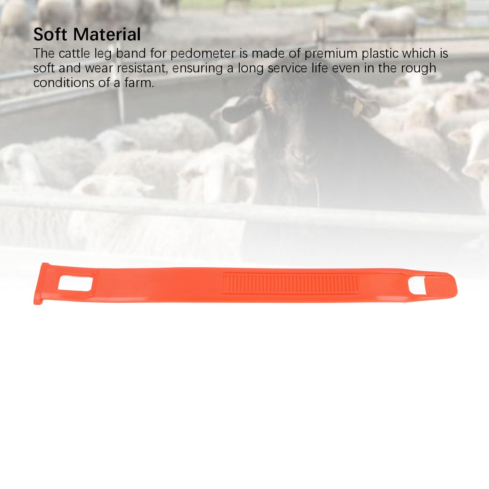 Pidomètre de vache bandes de jambe en plastique léger léger soft durable et podomage des pieds pour la ferme pour la santé de la ferme.