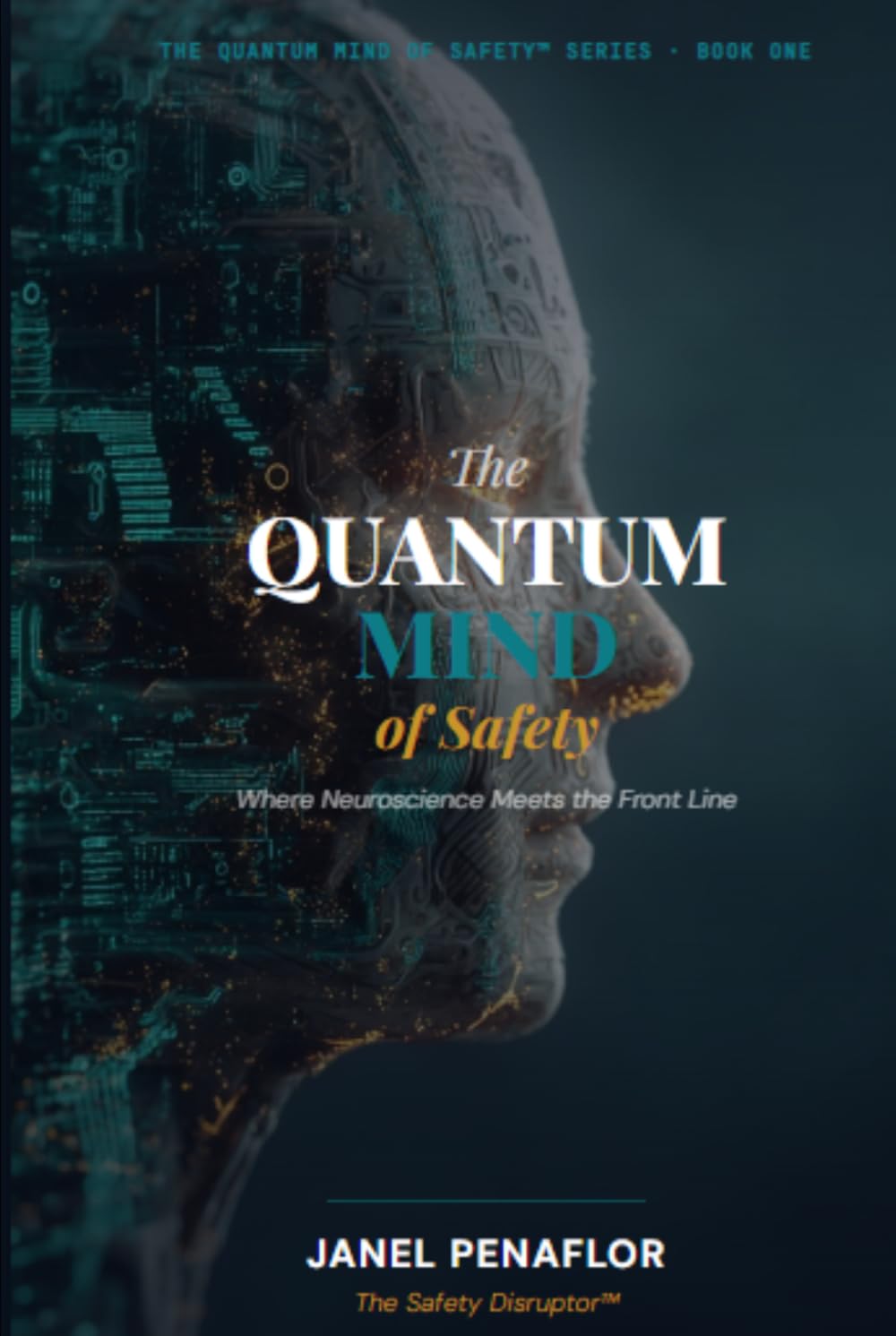 The Quantum Mind of Safety (The Quantum Mind of Safety Series)