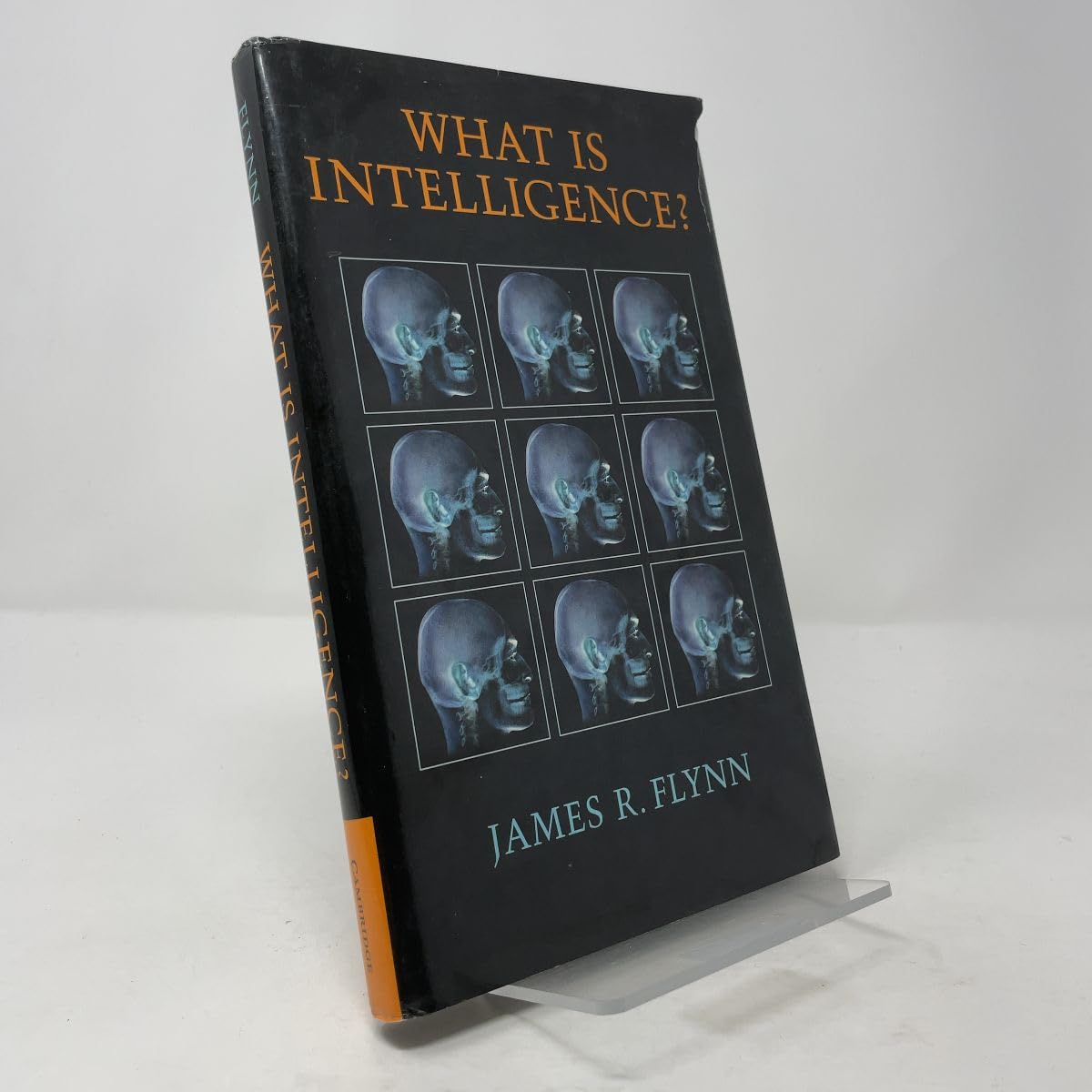 What Is Intelligence?: Beyond the Flynn Effect