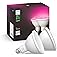 Philips Hue Smart 100W PAR38 LED Bulb - White and Color Ambiance Color-Changing Light - 2 Pack - 1300LM - E26 - Outdoor - Con