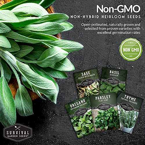 Survival Garden Seeds - Italian Herb Collection Seed Vault - Basil, Oregano, Thyme, Sage, Flat Leaf Parsley - Non-Gmo Heirloom Varieties Of Culinary & Medicinal Herbs For Any Garden Or Homestead #TOP5