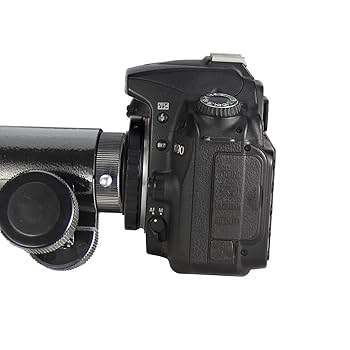 Amazon.com : Celticbird 1.25