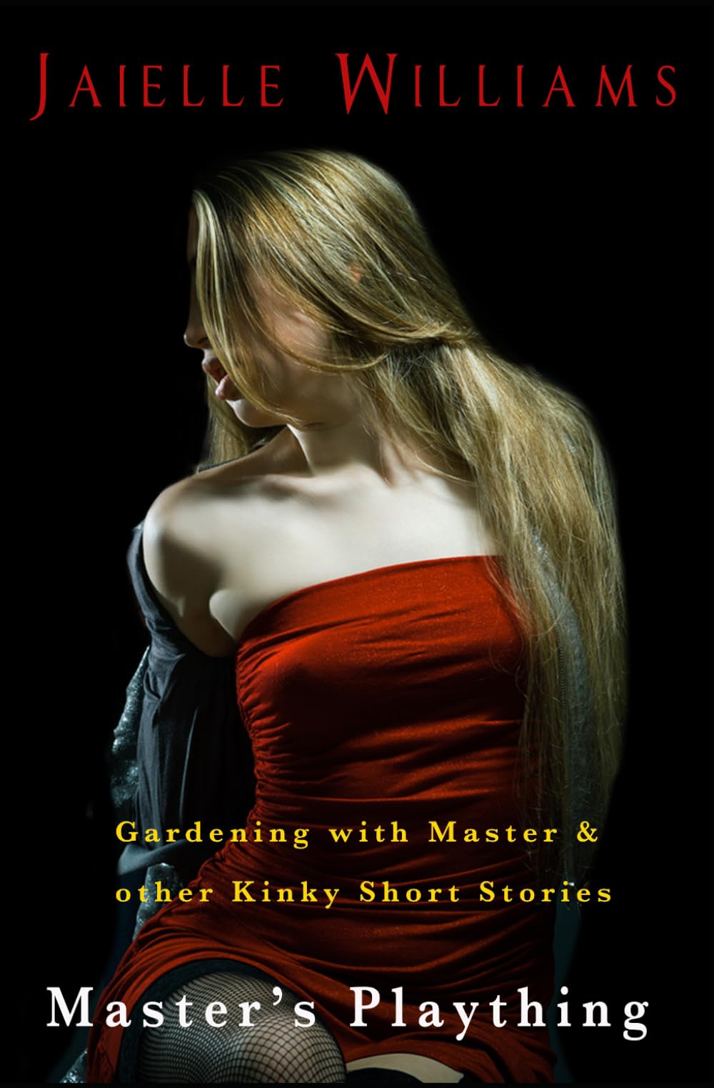 Master's Plaything: Master's Playroom Kinky Short Stories: 1