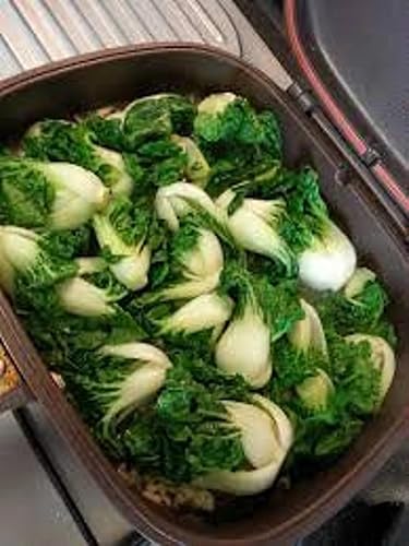 Miniatura 2 de Más de 3000 semillas de Cantón enano Baby Pak Choi Seeds NAI Bai CAINAI Pe Tsai reliquia sin OMG