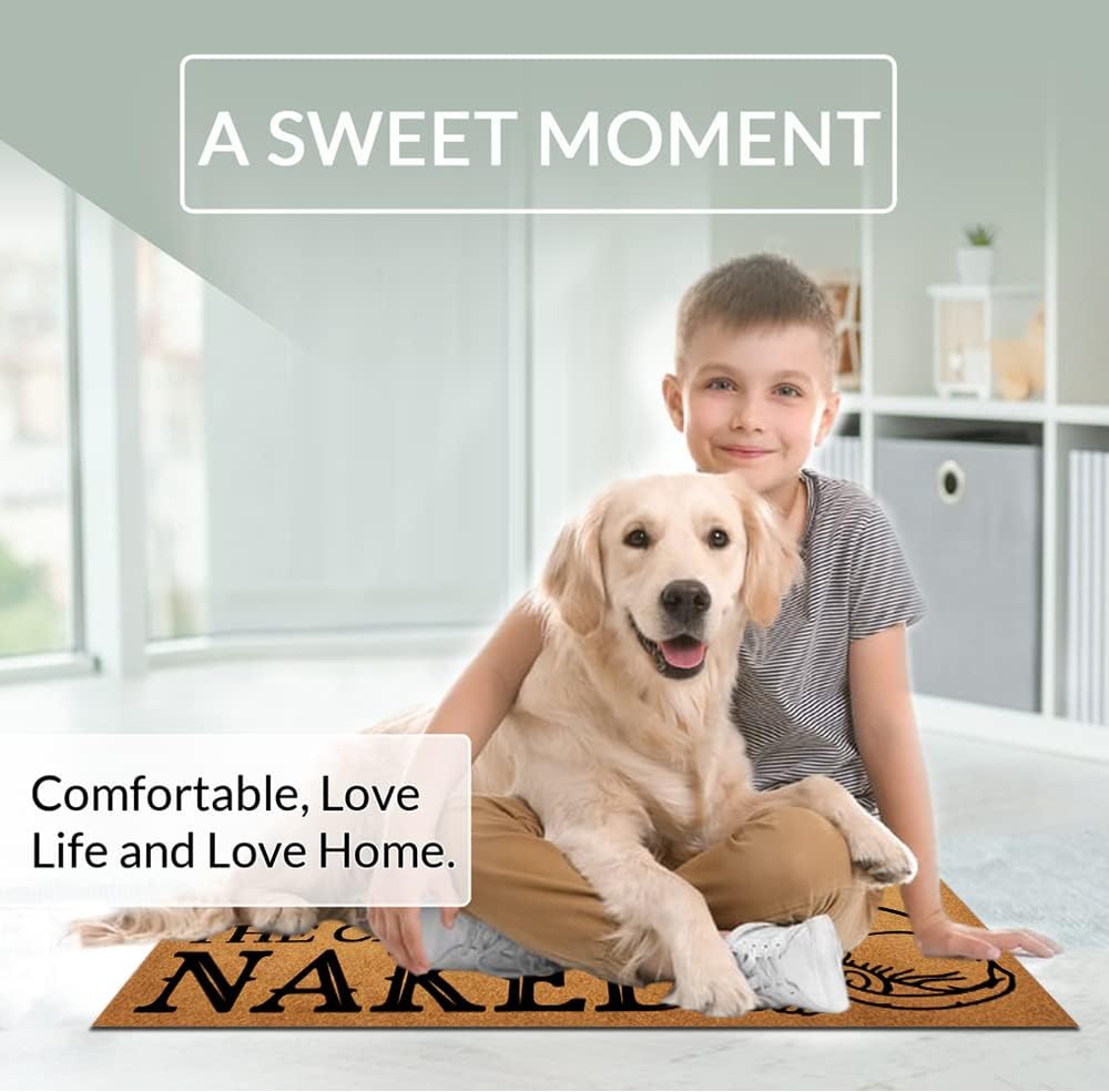 Indoor Door Mat Please Knock The Cats are Naked Indoor Floor Mat, Non Slip Front Door Rug Soft Quick Absorbent Entrance Doormats, Dust Dirt Resist Door Mats for Entrance - 23.6"x15.7"
