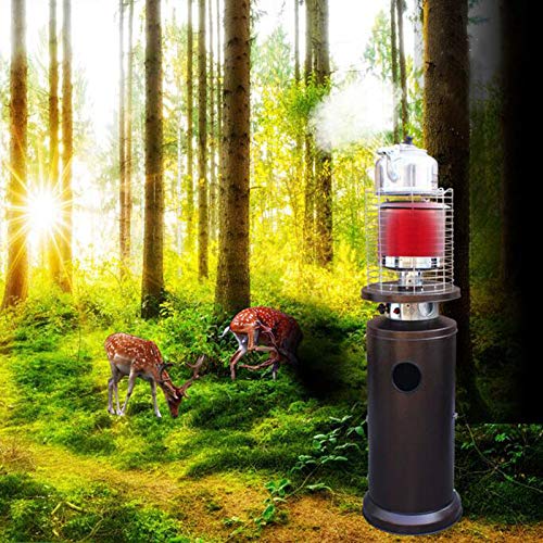 Heizpilz Terrassenstrahler mit stufenloser Regulierung,Outdoor Heizungen Schnellheizer,Heizstrahler für Terrasse Terrassenheizer Gas Edelstahl