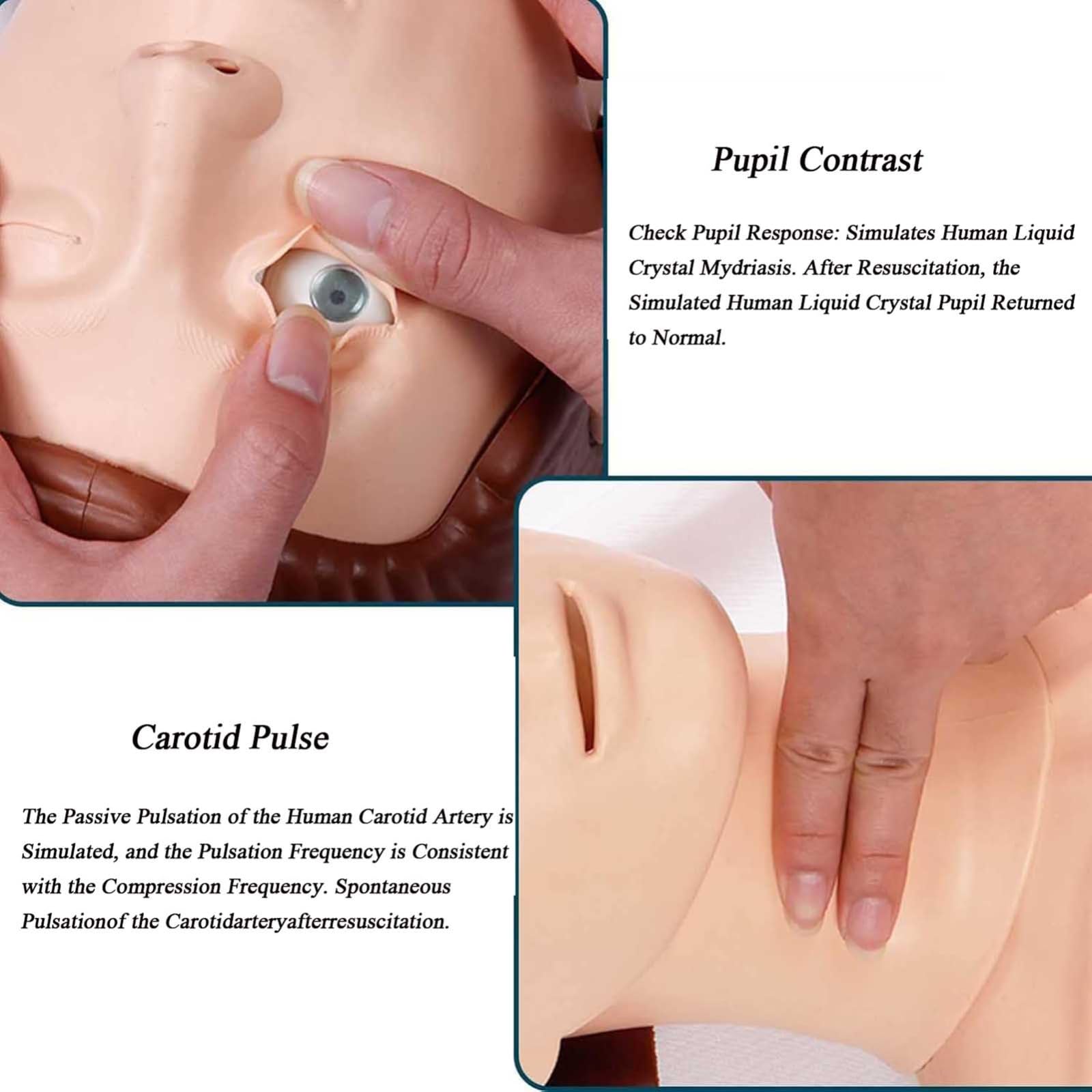 ELZEM Maniquí de Entrenamiento de Primeros Auxilios para RCP, maniquí de enseñanza de reanimación práctica para Entrenamiento de Primeros Auxilios