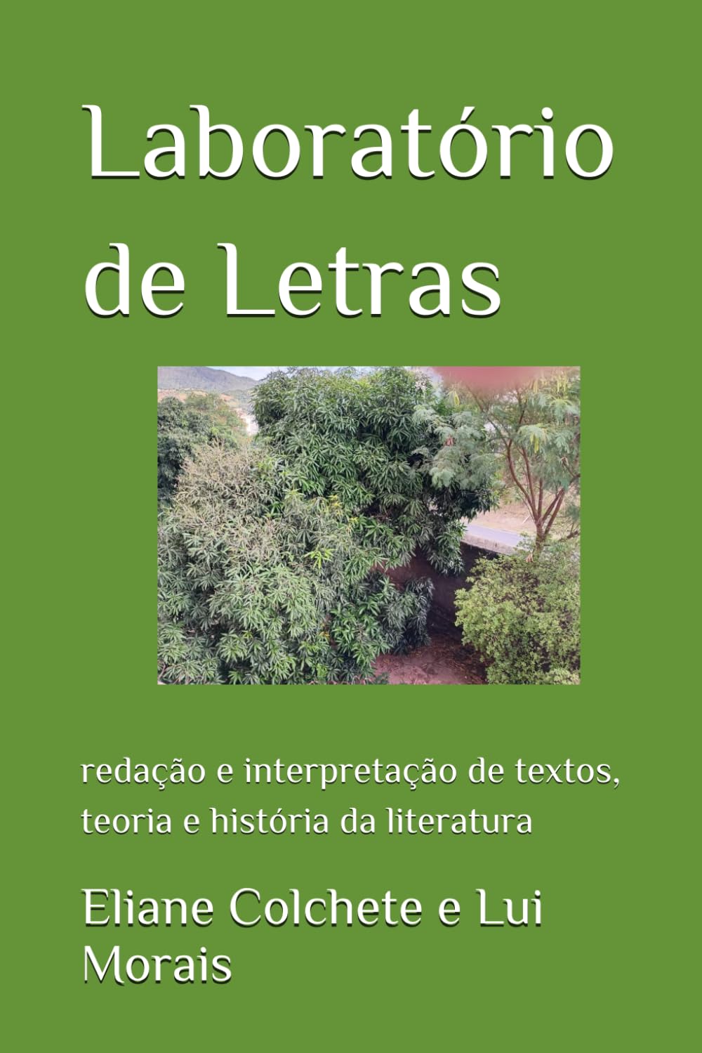 Laboratório de Letras: redação e interpretação de textos, teoria e história da literatura