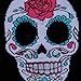Sock It To Me Womens Knee High Funky Socks - Day Of The Dead Sugar Skull,Multi-color,5-10