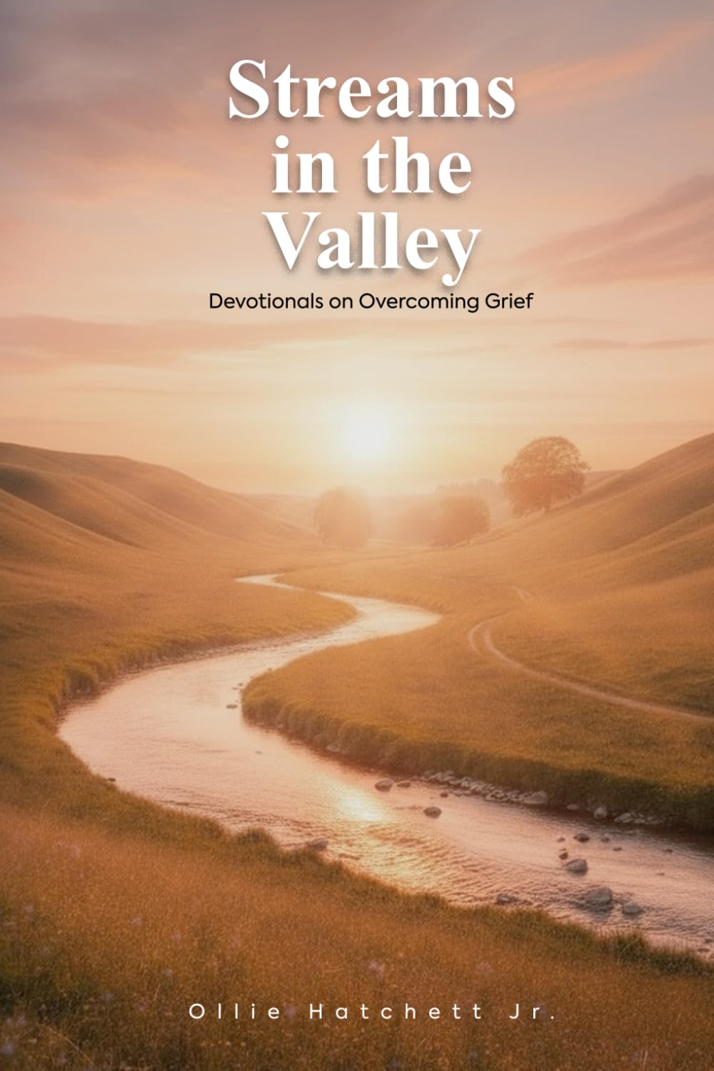 Streams in the Valley: DEVOTIONALS ON OVERCOMING GRIEF
